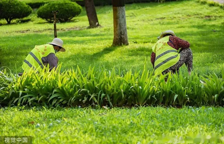 花园喵园林景观设计 花园喵园林景观设计