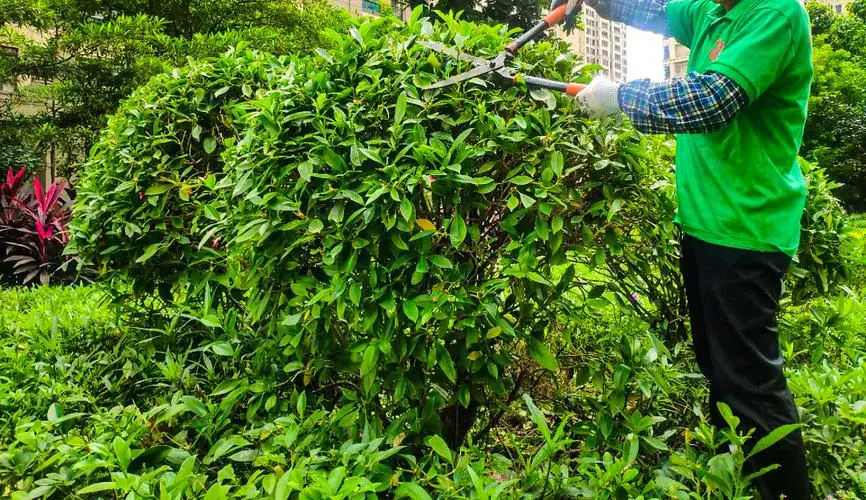 传承园林文化:面试现场探秘,如何在管理中融入历史记忆? 传承园林文化:面试现场探秘,如何在管理中融入历史记忆?
