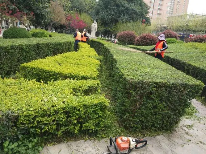 园林管理:问题频发,加大整改力度势在必行! 园林管理:问题频发,加大整改力度势在必行!