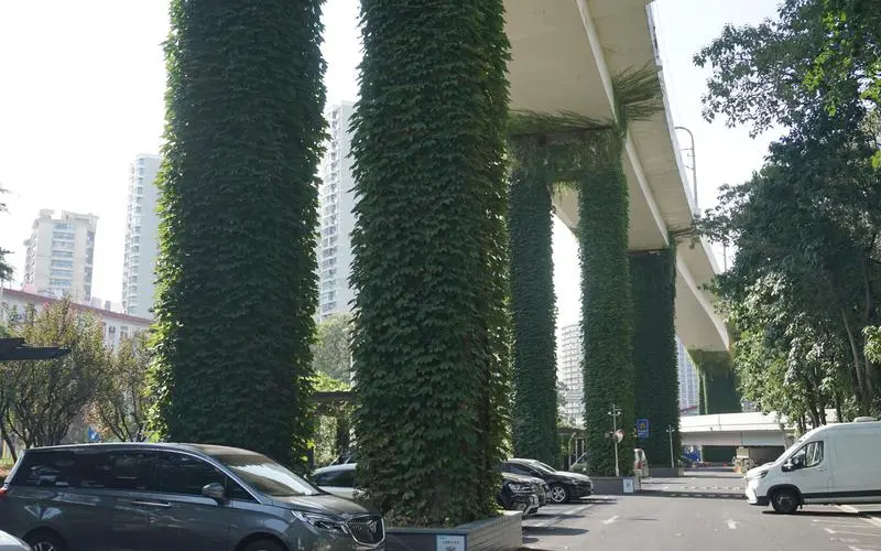 大型园林景观设计注意 大型园林景观设计注意