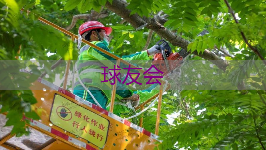 公路绿化工程职称 公路绿化工程职称